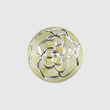 acrylic button